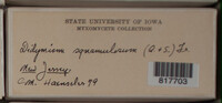 Image Associated With the Occurence